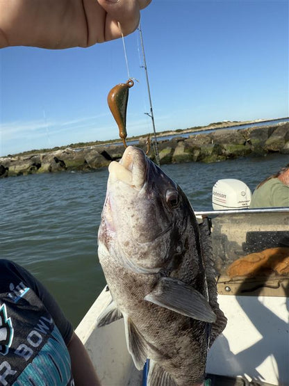 Tog jig package - 24 jigs for $60 (Heavy)